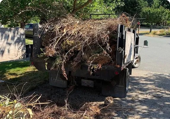 yard waste removal